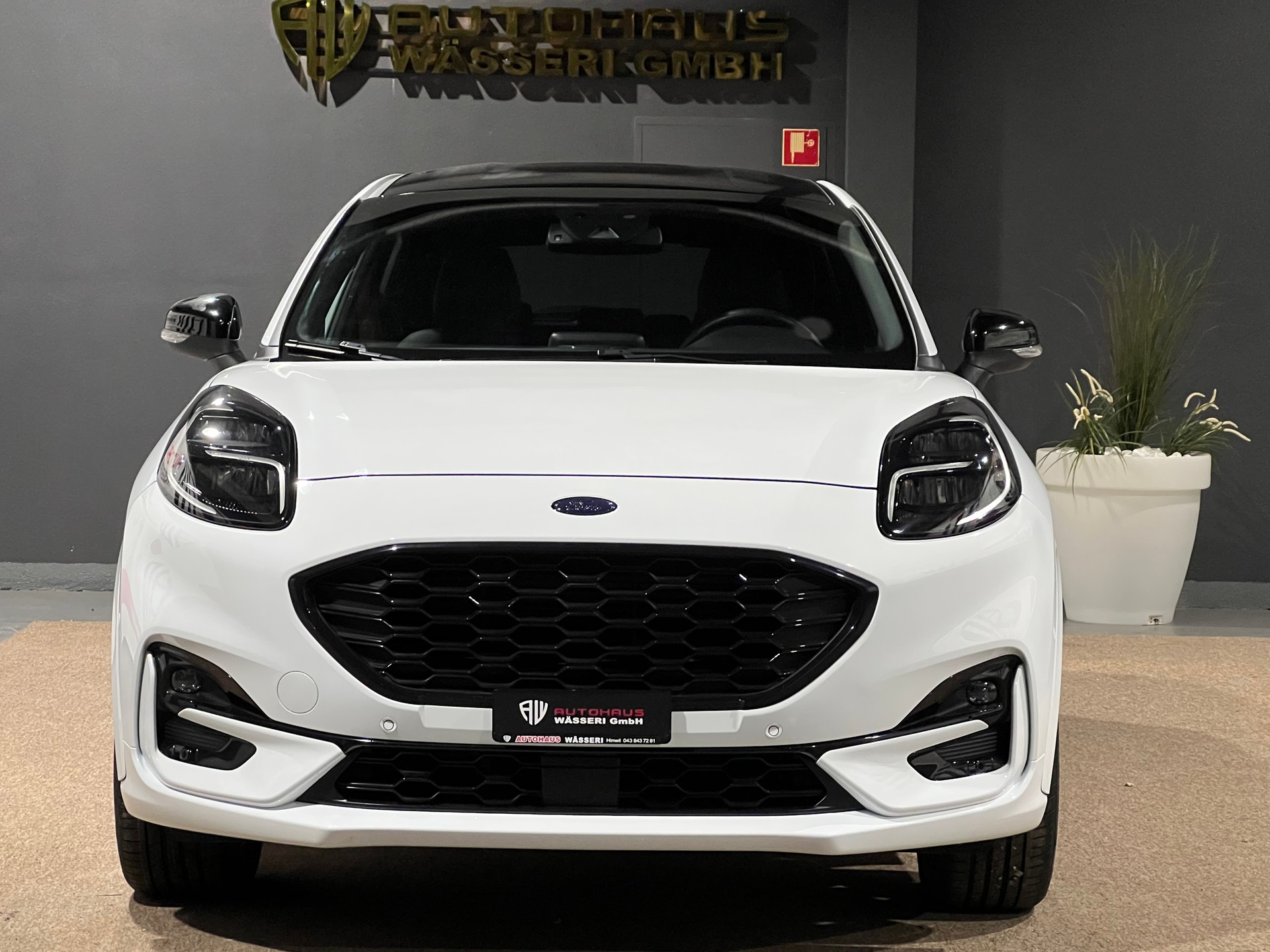 FORD Puma 1.0 MHEV ST-Line X-image-8
