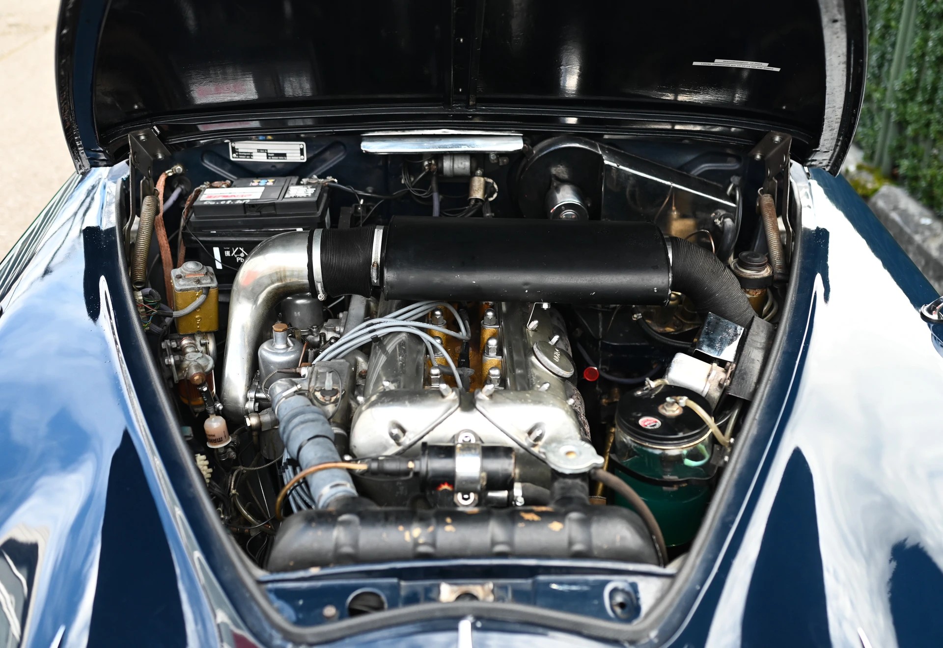 JAGUAR KOMPLETT REVIDIERT.-image-3