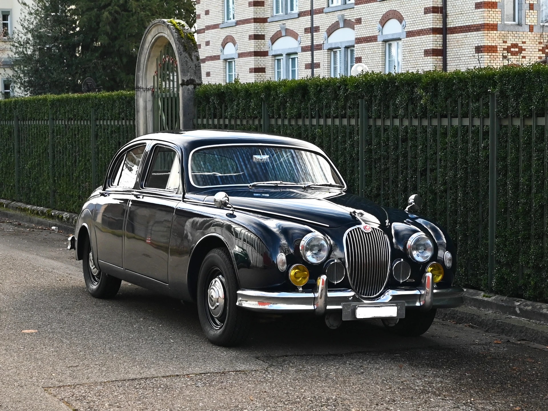 JAGUAR KOMPLETT REVIDIERT.-image-1
