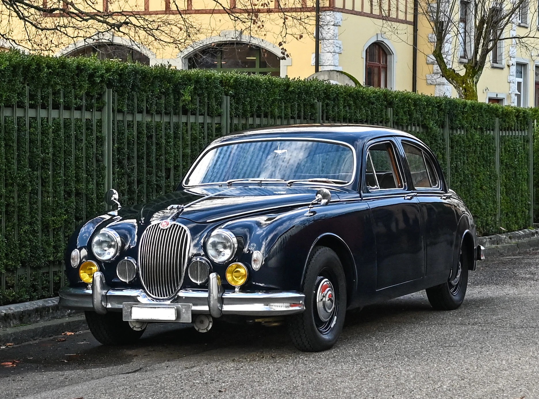 JAGUAR KOMPLETT REVIDIERT.-image-2