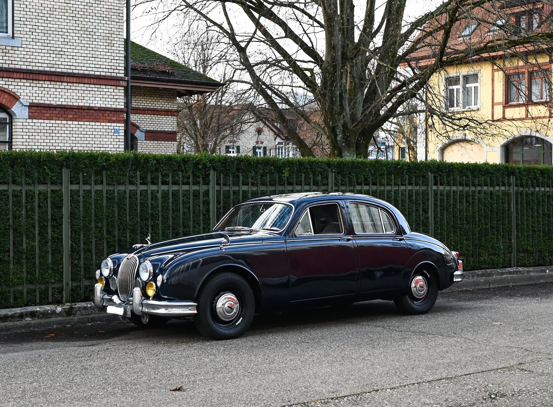 JAGUAR KOMPLETT REVIDIERT.-image-0