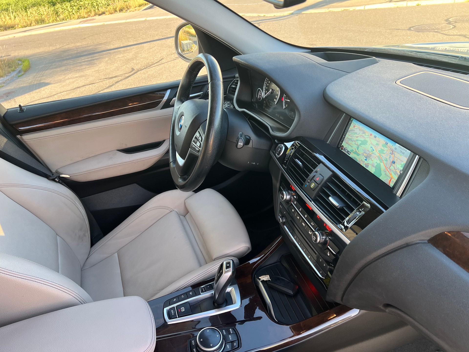 BMW X3 xDrive 35d xLine Steptronic- 360°-Kamera-image-16