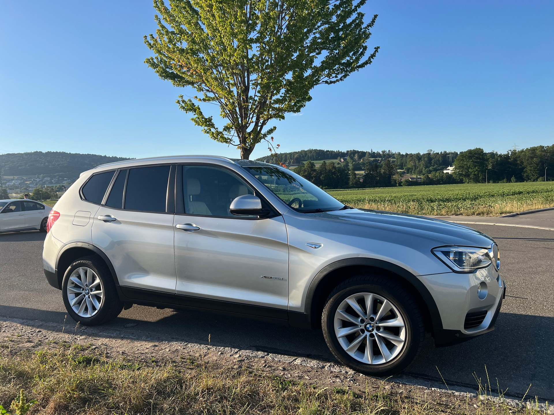 BMW X3 xDrive 35d xLine Steptronic- 360°-Kamera-image-4