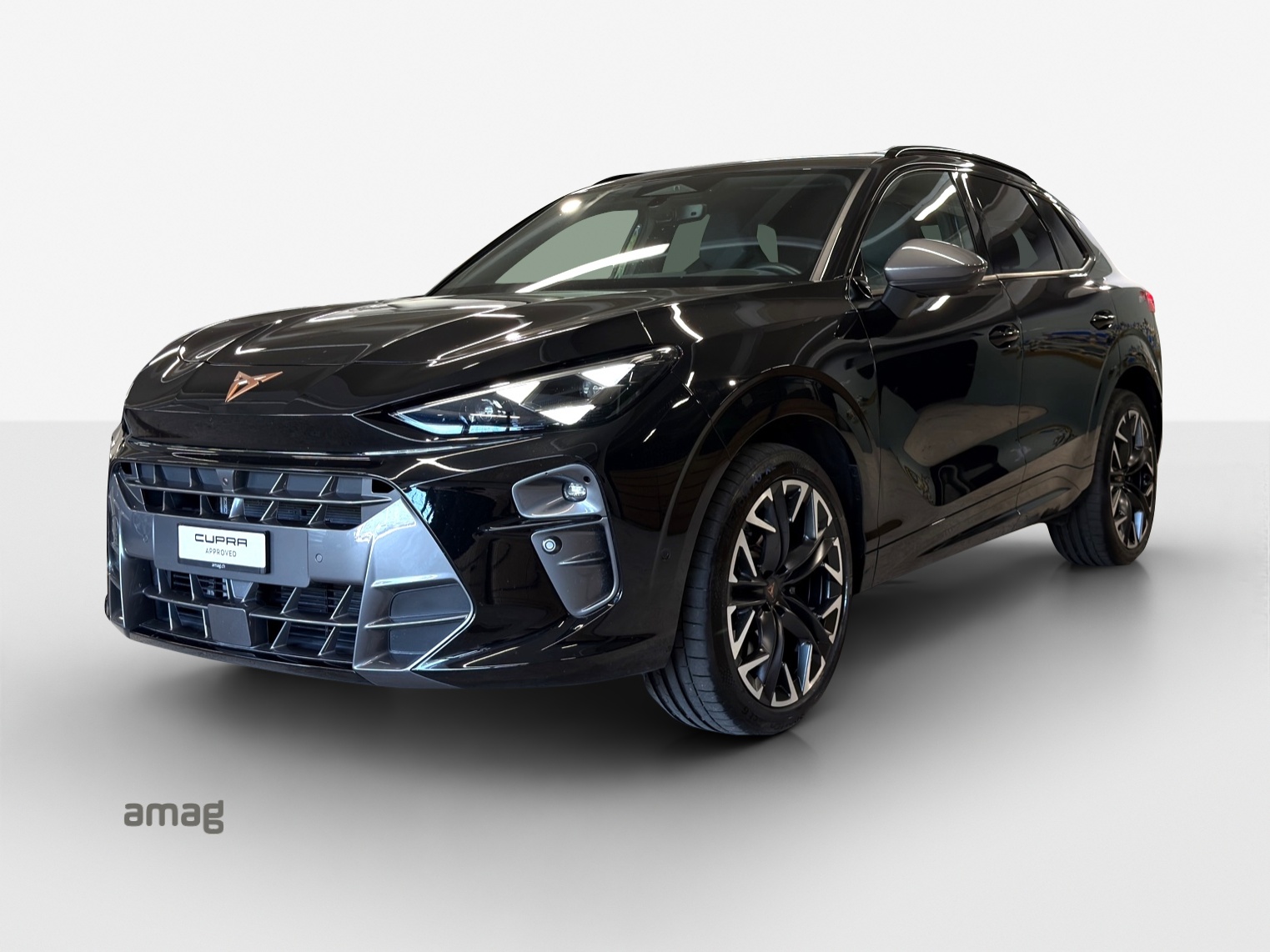 CUPRA Terramar 2.0 TSI DSG 4Drive VZ-image-0