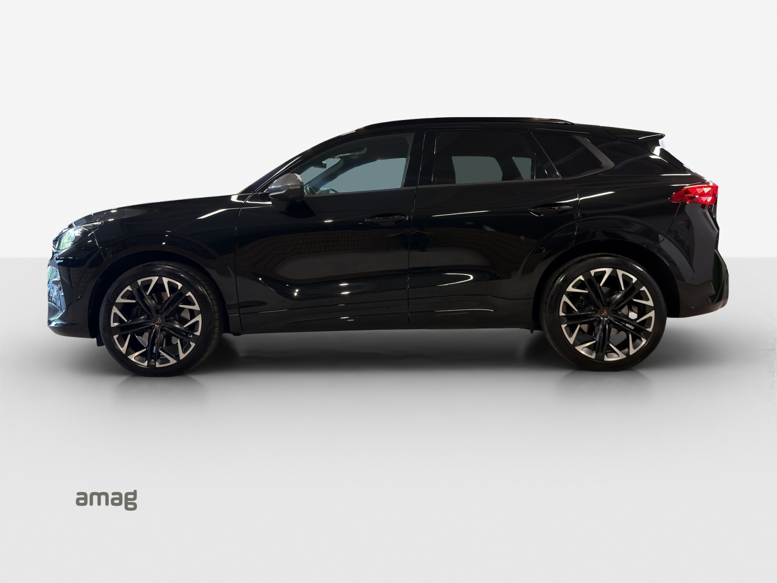 CUPRA Terramar 2.0 TSI DSG 4Drive VZ-image-1