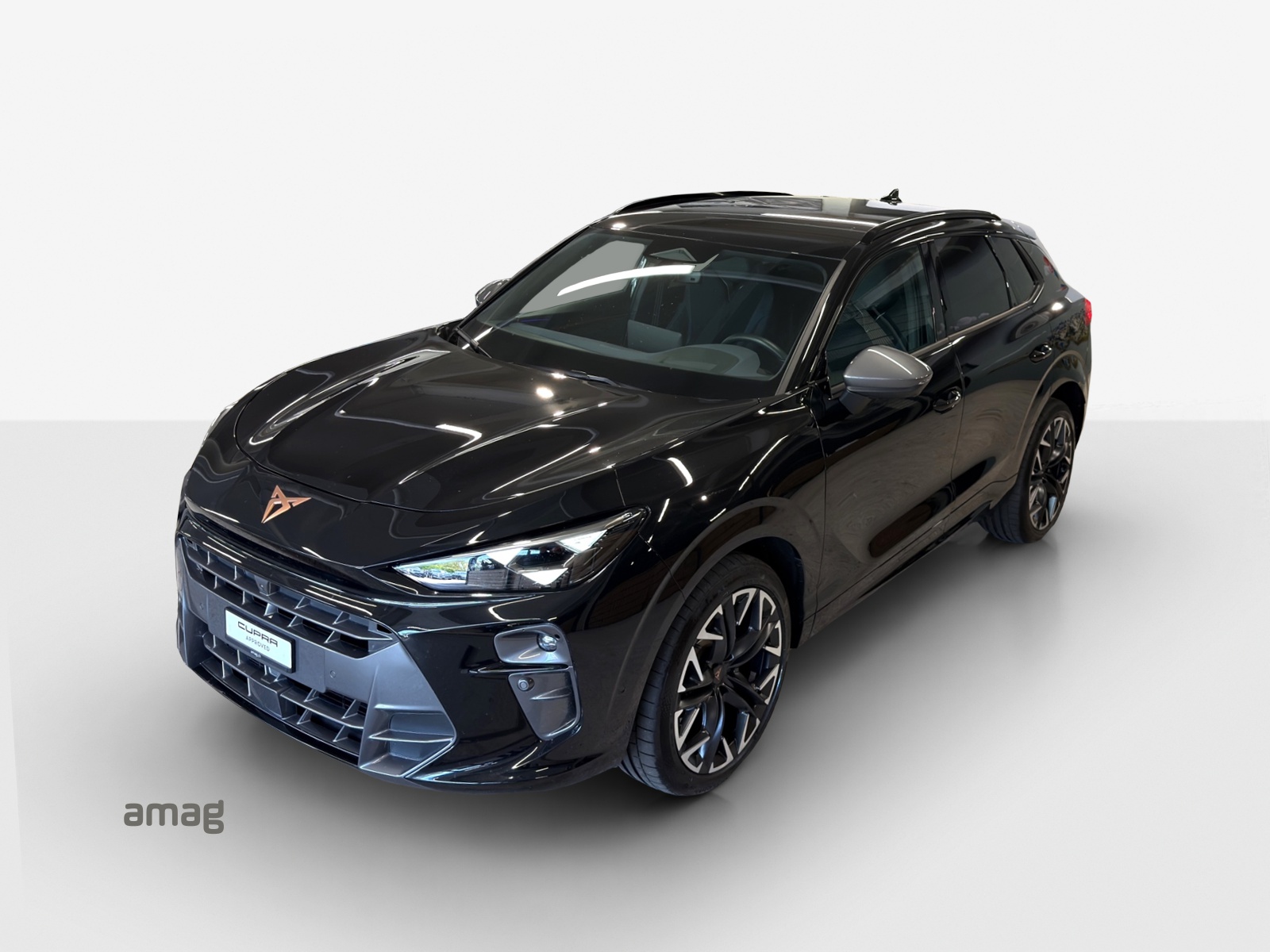 CUPRA Terramar 2.0 TSI DSG 4Drive VZ-image-13