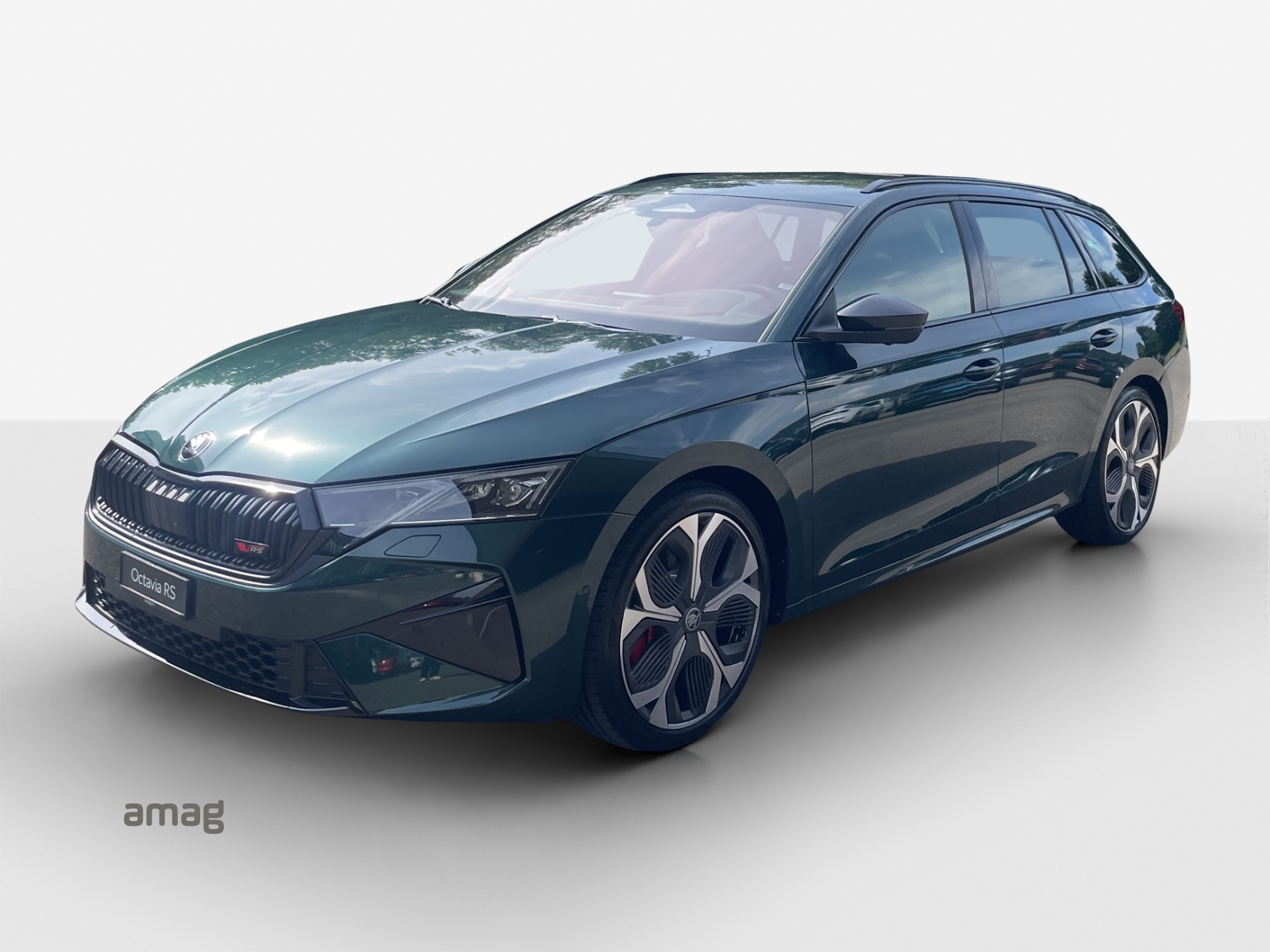 SKODA Octavia Combi 2.0 TSI DSG RS 30 Years Edition-image-0