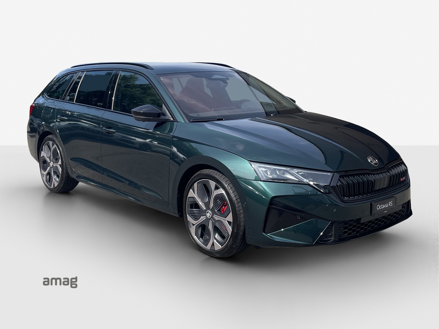 SKODA Octavia Combi 2.0 TSI DSG RS 30 Years Edition-image-5