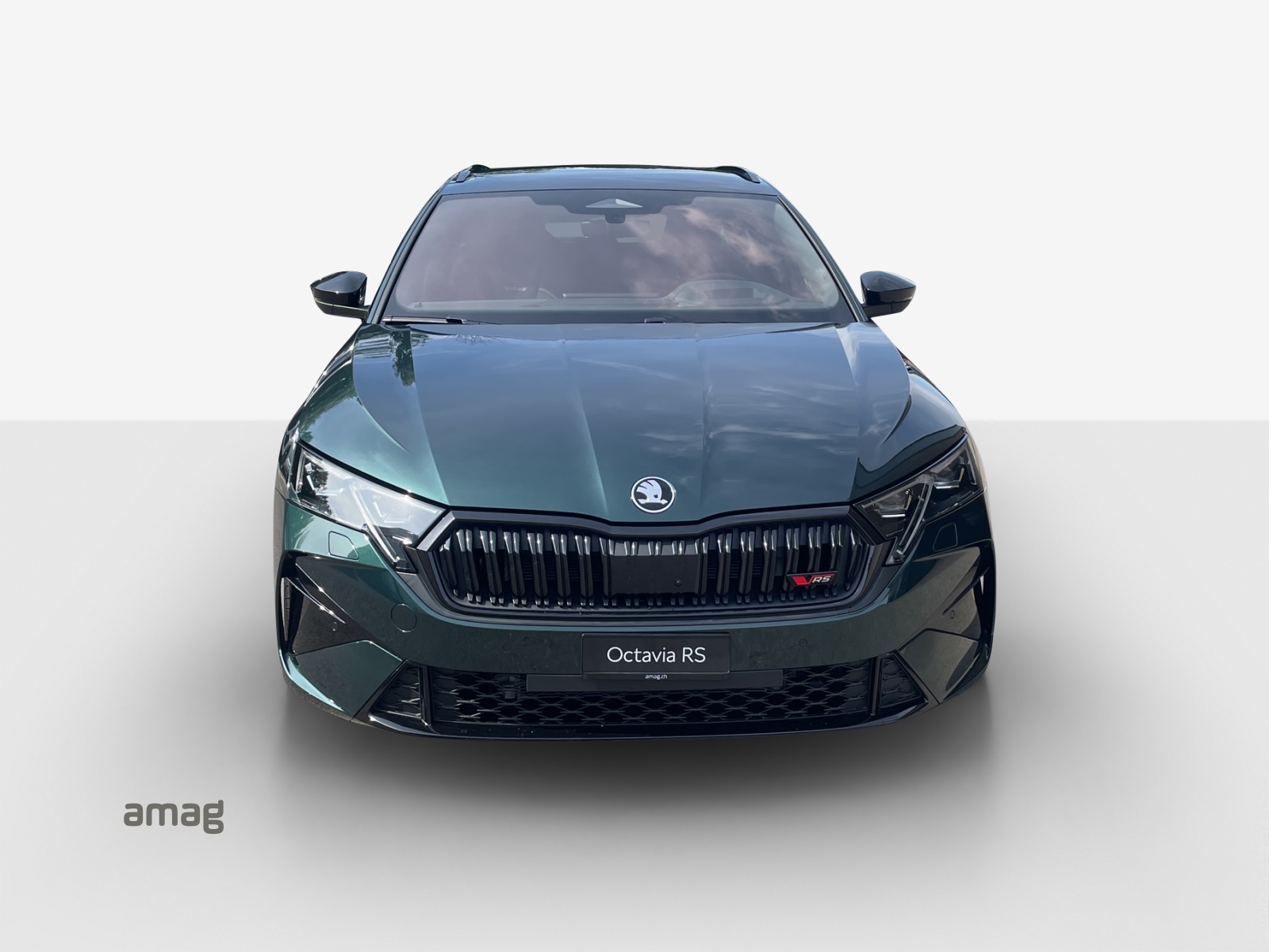 SKODA Octavia Combi 2.0 TSI DSG RS 30 Years Edition-image-6