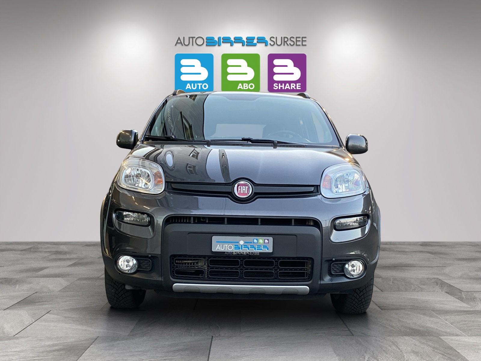 FIAT Panda 0.9 T TwinAir 4x4 S/S-image-1