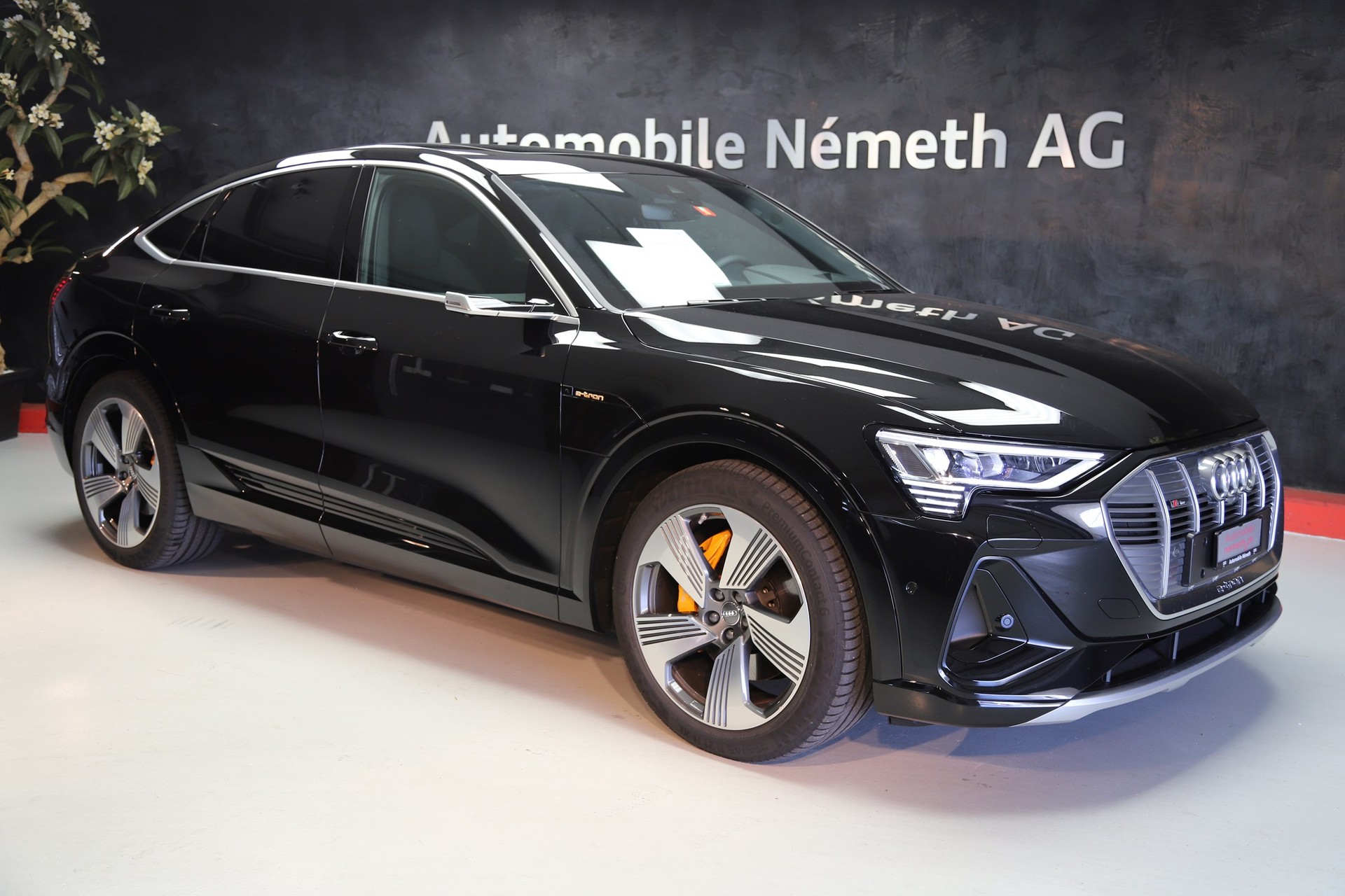 AUDI e-tron 55 Sportback S Line quattro-image-0