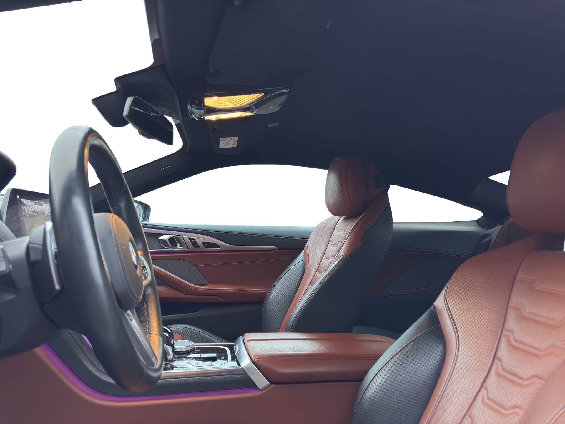 BMW M850i xDrive Steptronic-image-9