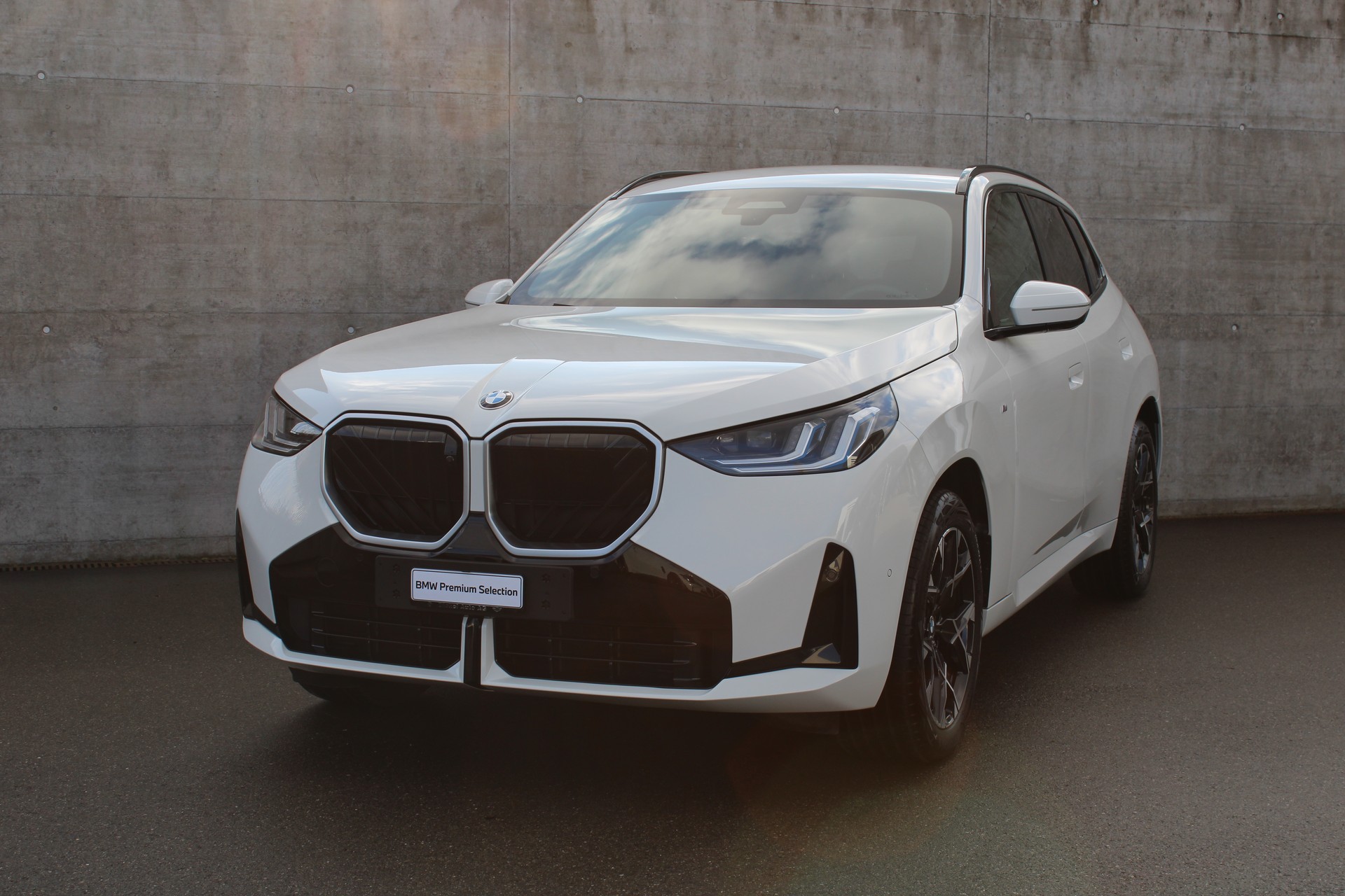 BMW X3 xDr 48V 20d M Sport