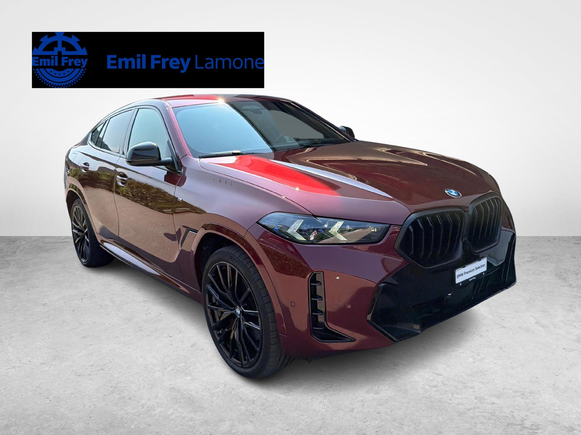 BMW X6 40i xDrive-image-6
