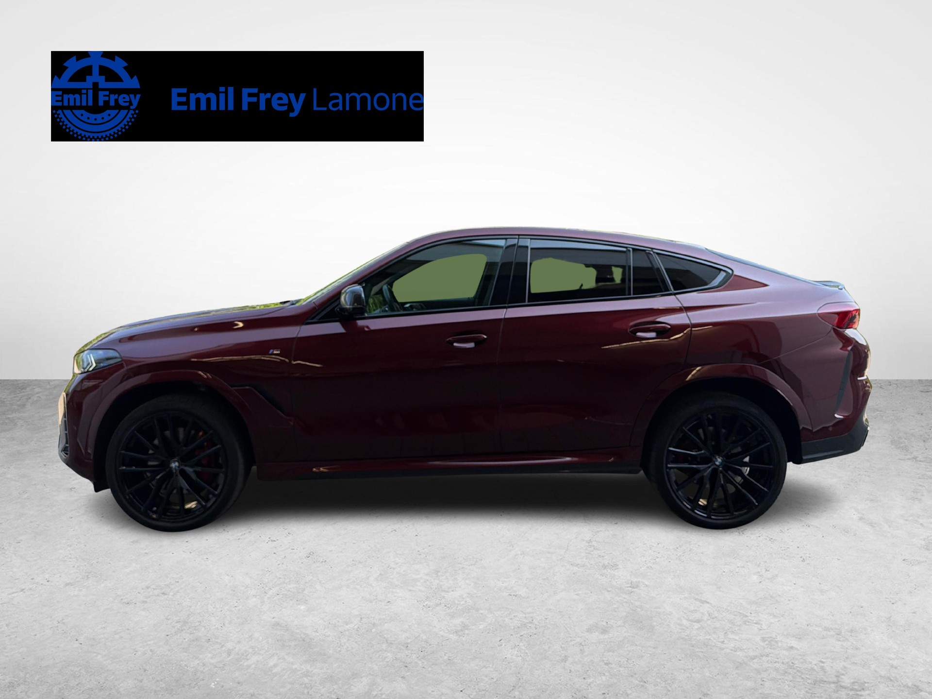 BMW X6 40i xDrive-showroom-element-1