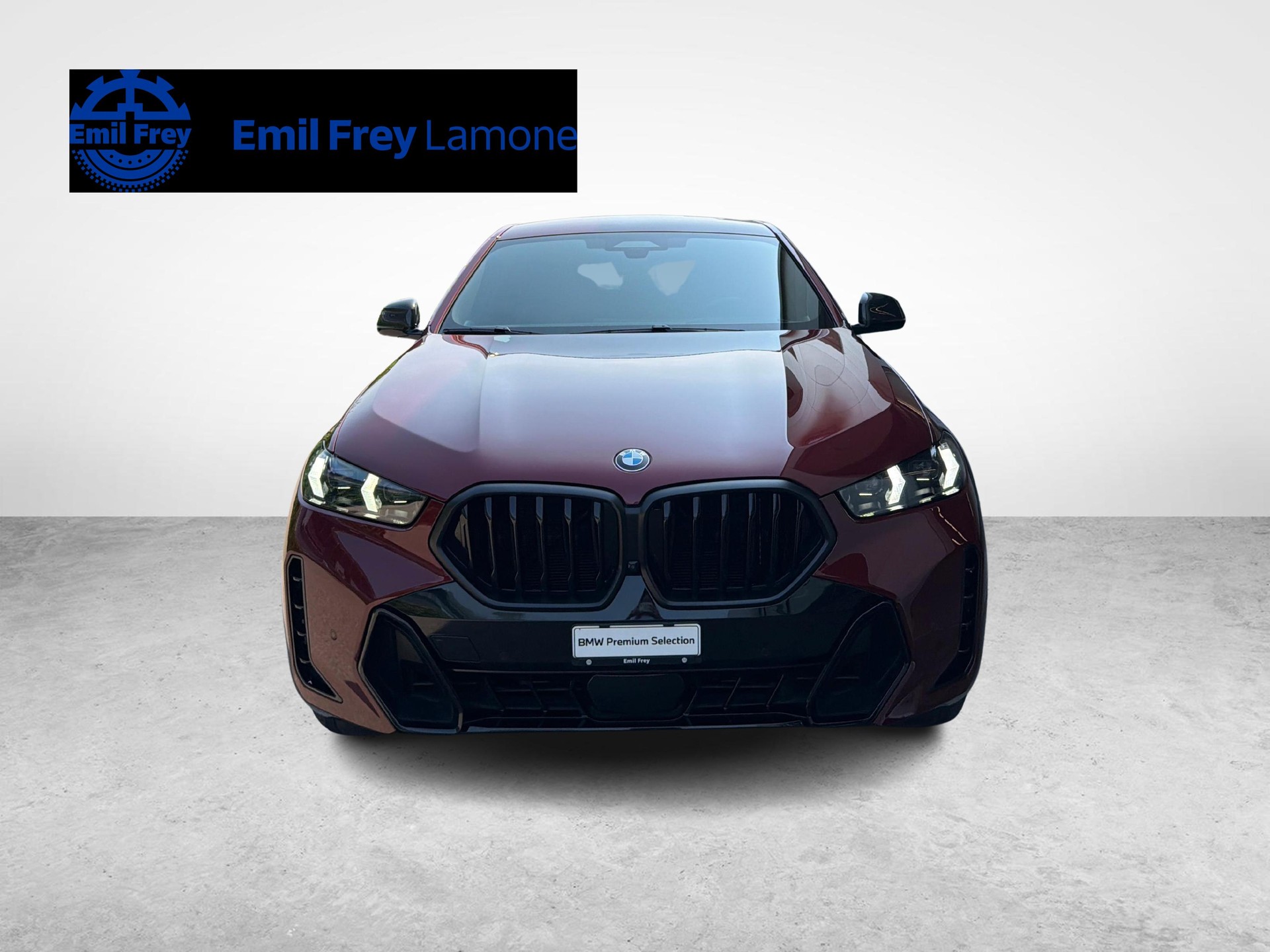 BMW X6 40i xDrive-image-7