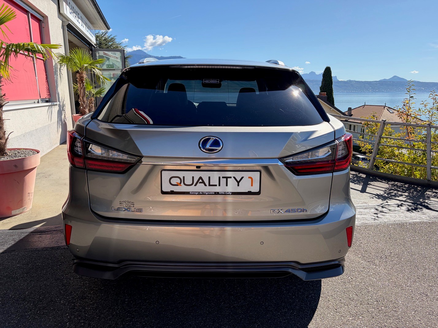 LEXUS RX 450h excellence AWD CVT-image-6