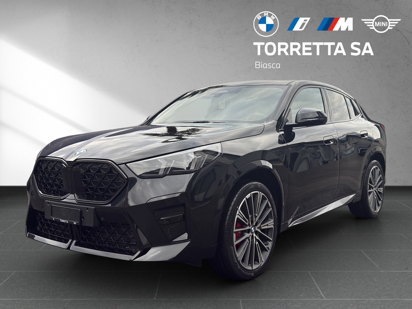 BMW X2 sDrive 20i 48V M Sport Pro-image-0