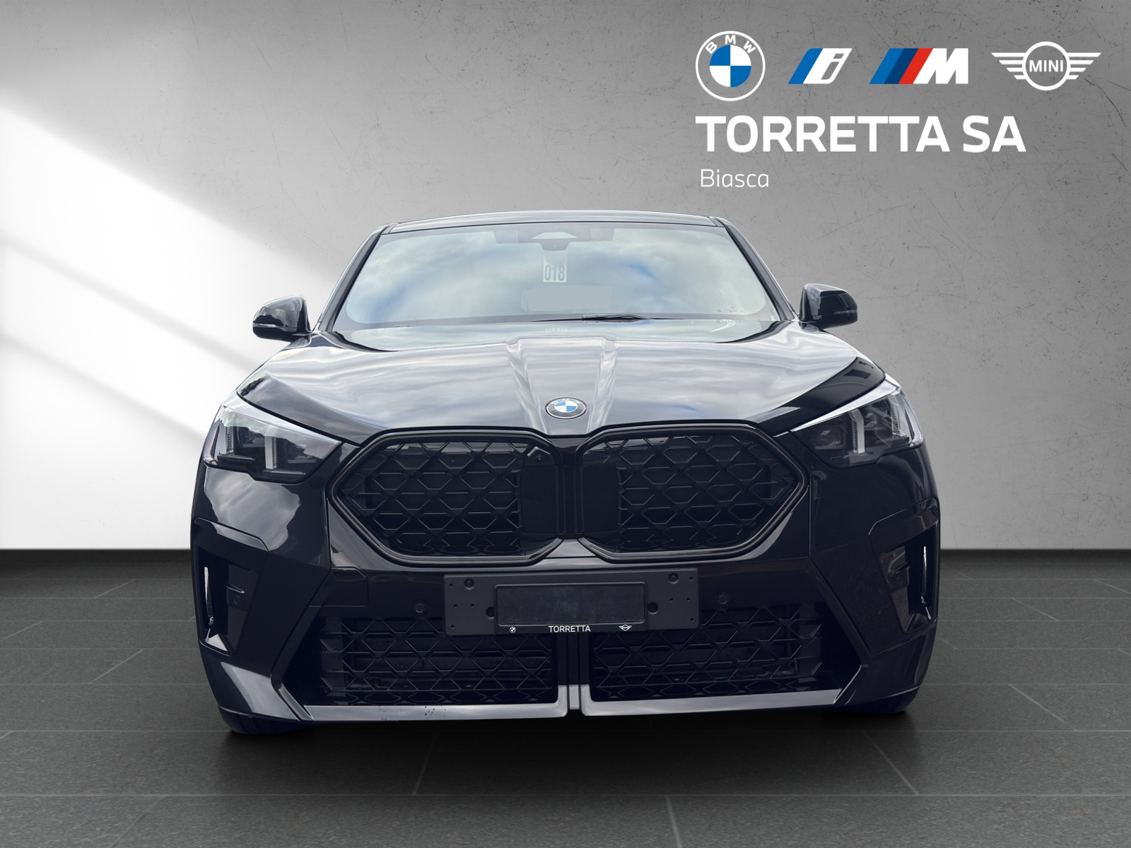 BMW X2 sDrive 20i 48V M Sport Pro-image-7