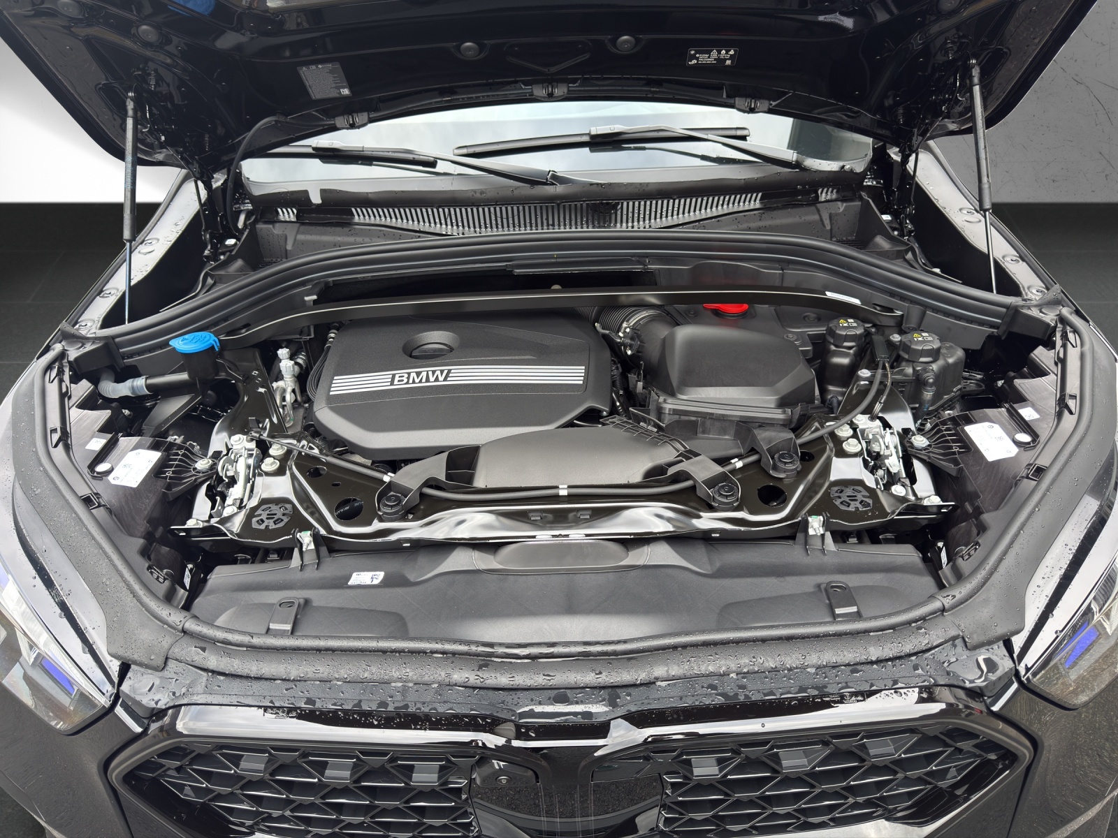 BMW X2 sDrive 20i 48V M Sport Pro-image-18