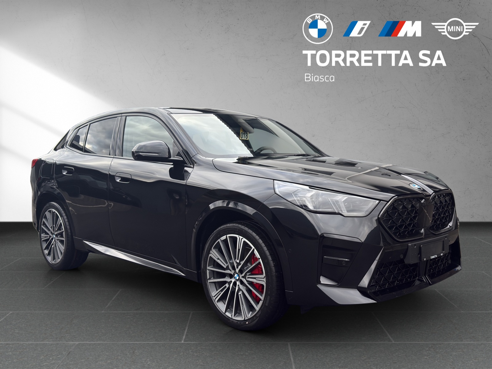 BMW X2 sDrive 20i 48V M Sport Pro-image-6
