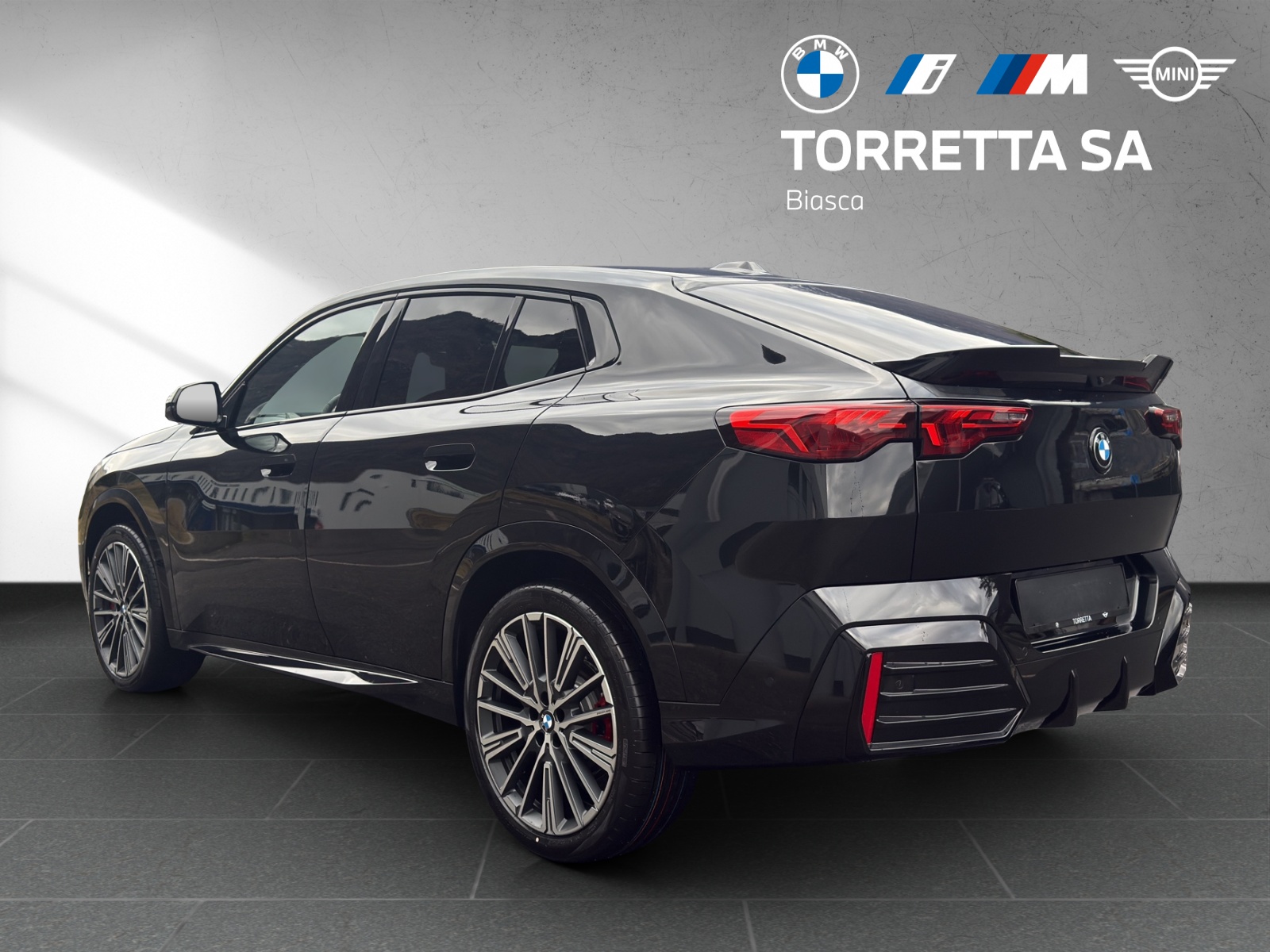 BMW X2 sDrive 20i 48V M Sport Pro-image-2