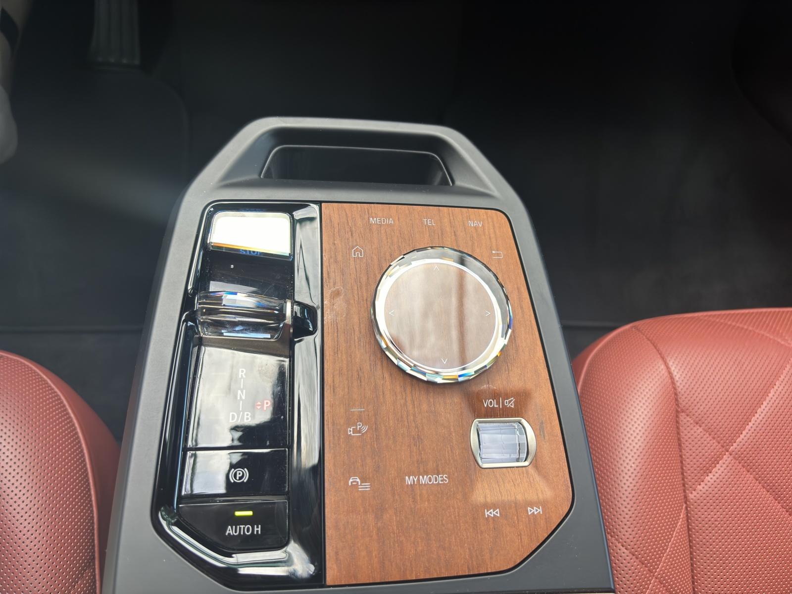 BMW iX xDrive40-image-7