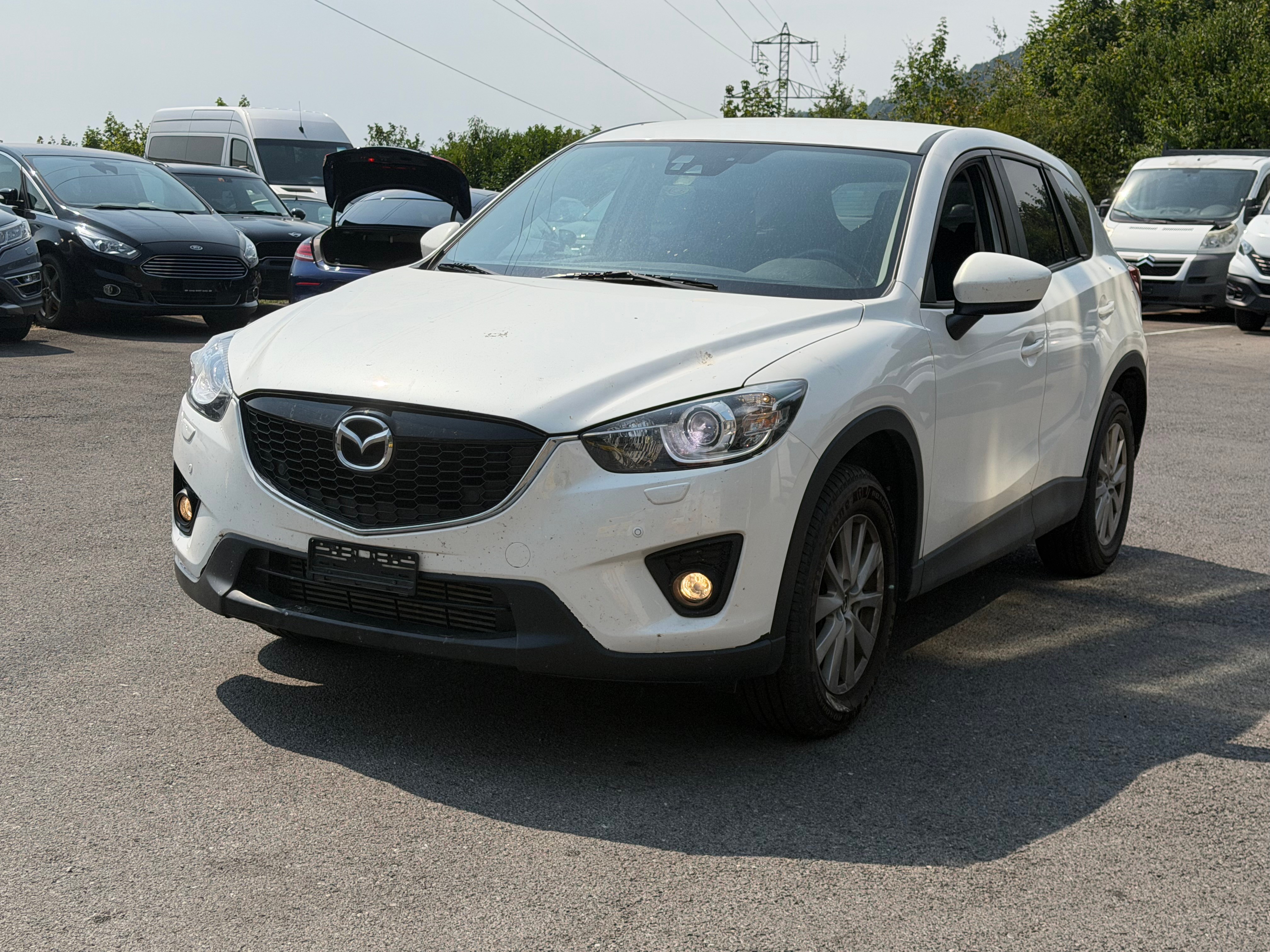 Car photo