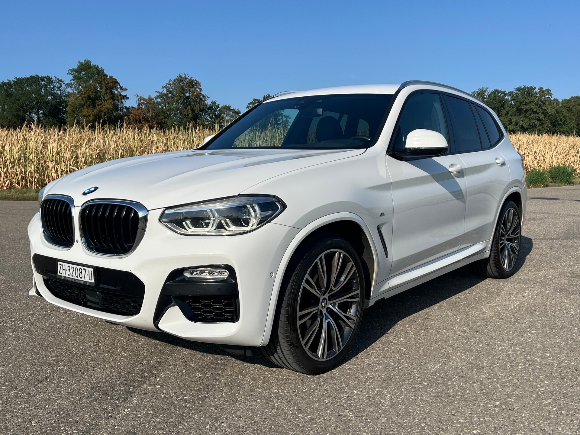 BMW X3 xDrive 30d Individual M Sport Steptronic-image-0
