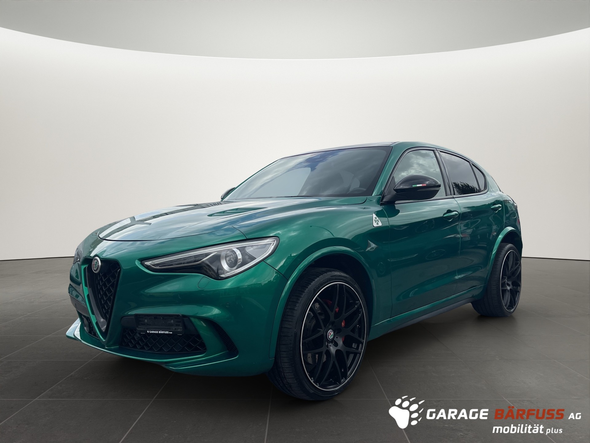 ALFA ROMEO Stelvio 2.9 V6 Biturbo Q4 Quadrifoglio Sky-image-0
