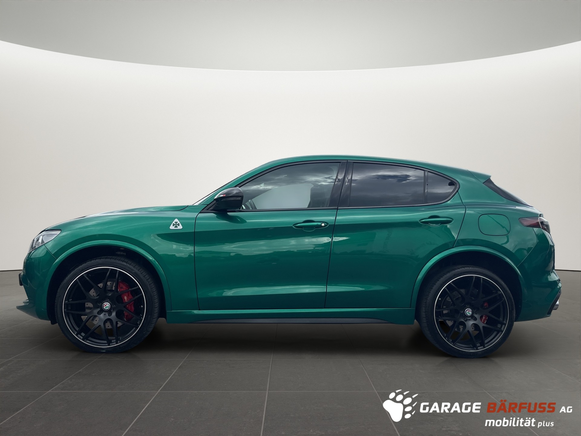 ALFA ROMEO Stelvio 2.9 V6 Biturbo Q4 Quadrifoglio Sky-image-1
