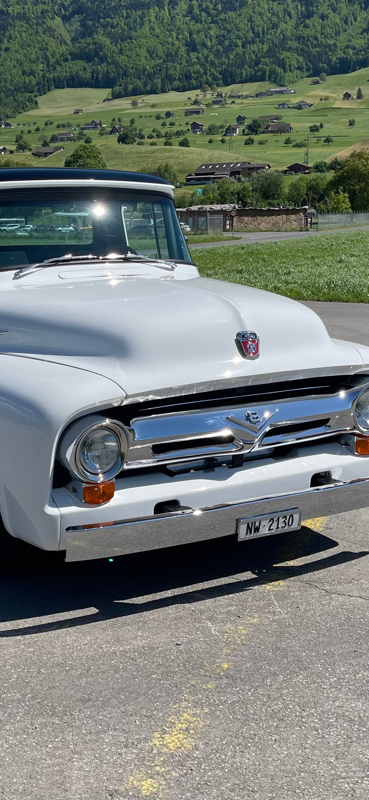 FORD 56 F100 Pickup-image-2