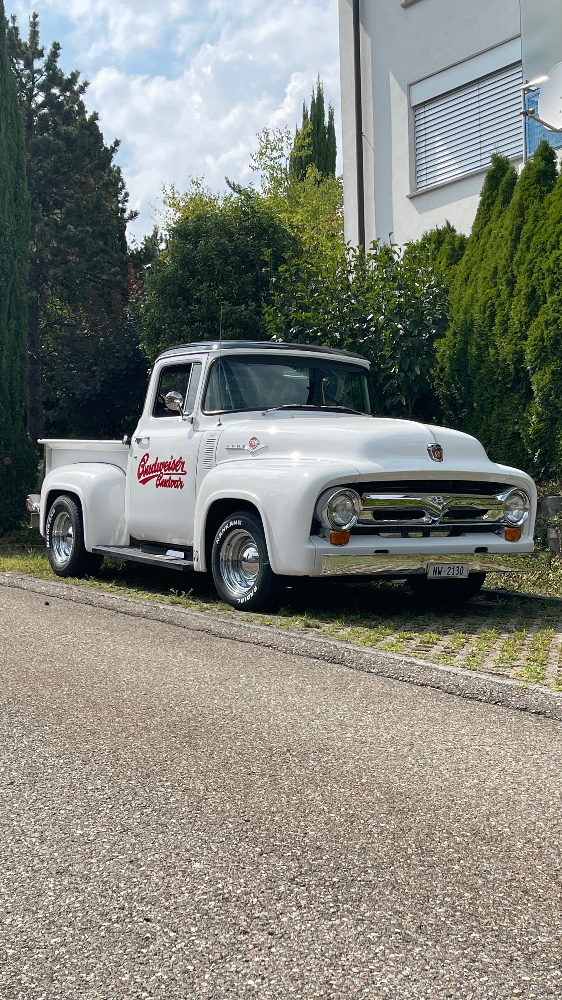 FORD 56 F100 Pickup-image-1