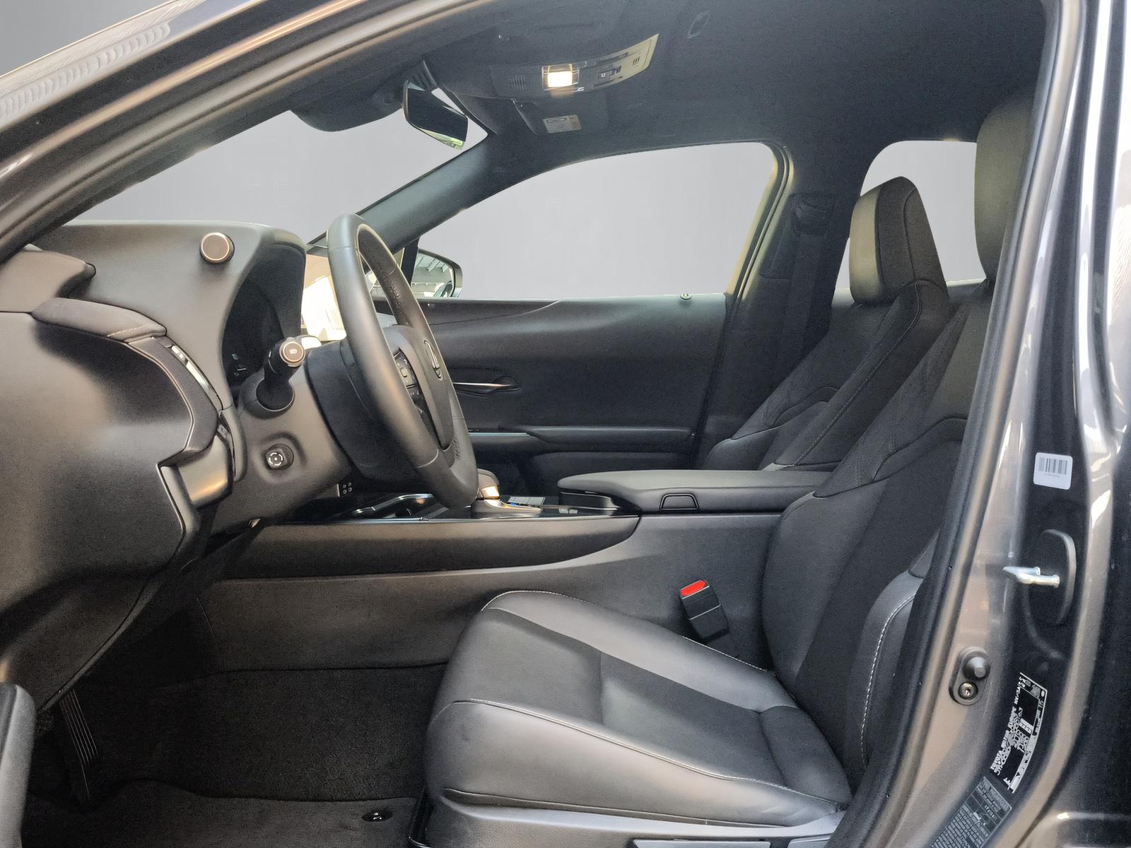LEXUS UX 300h F-Line-image-3