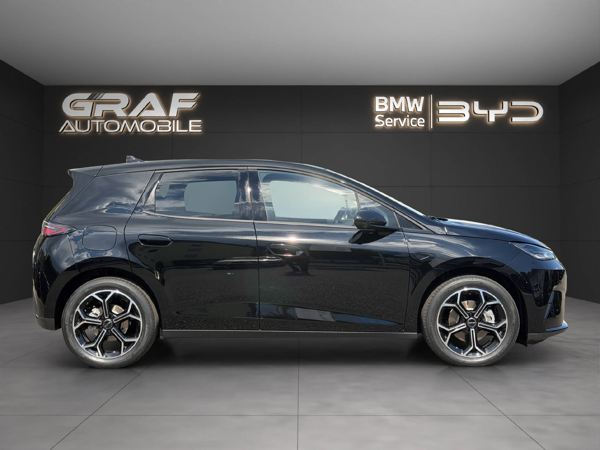 BYD Dolphin G DM-i Comfort-showroom-element-3