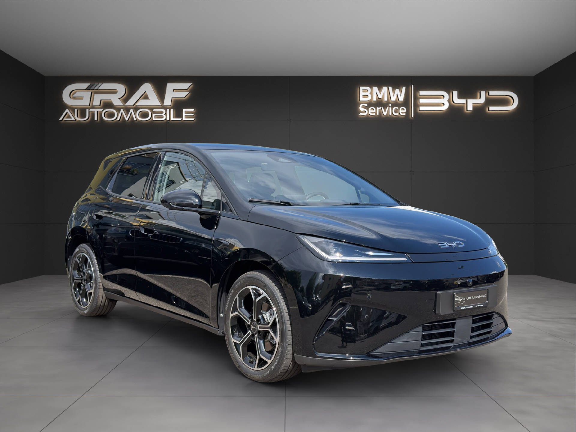 BYD Dolphin G DM-i Comfort-showroom-element-2