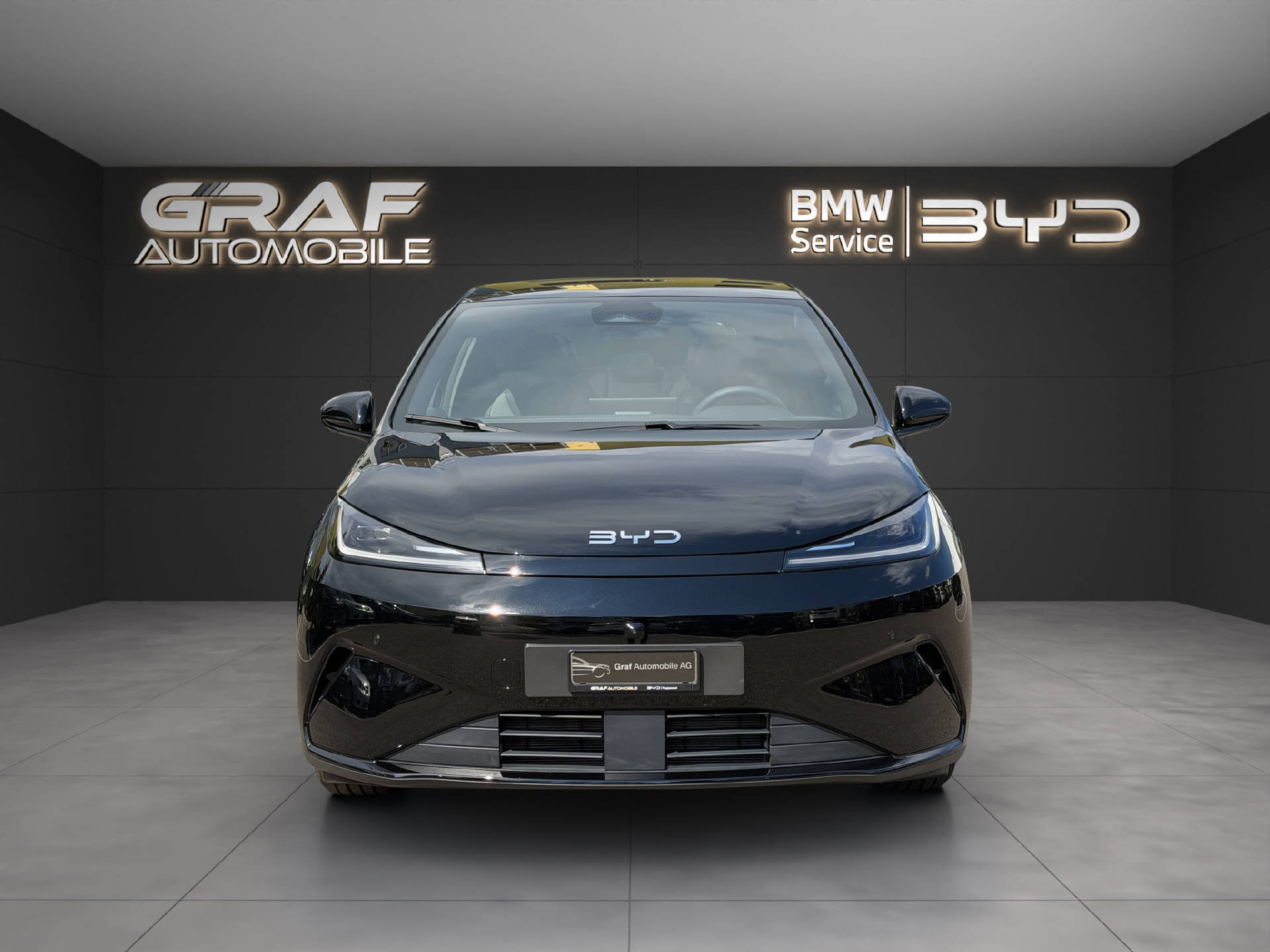 BYD Dolphin G DM-i Comfort-showroom-element-1