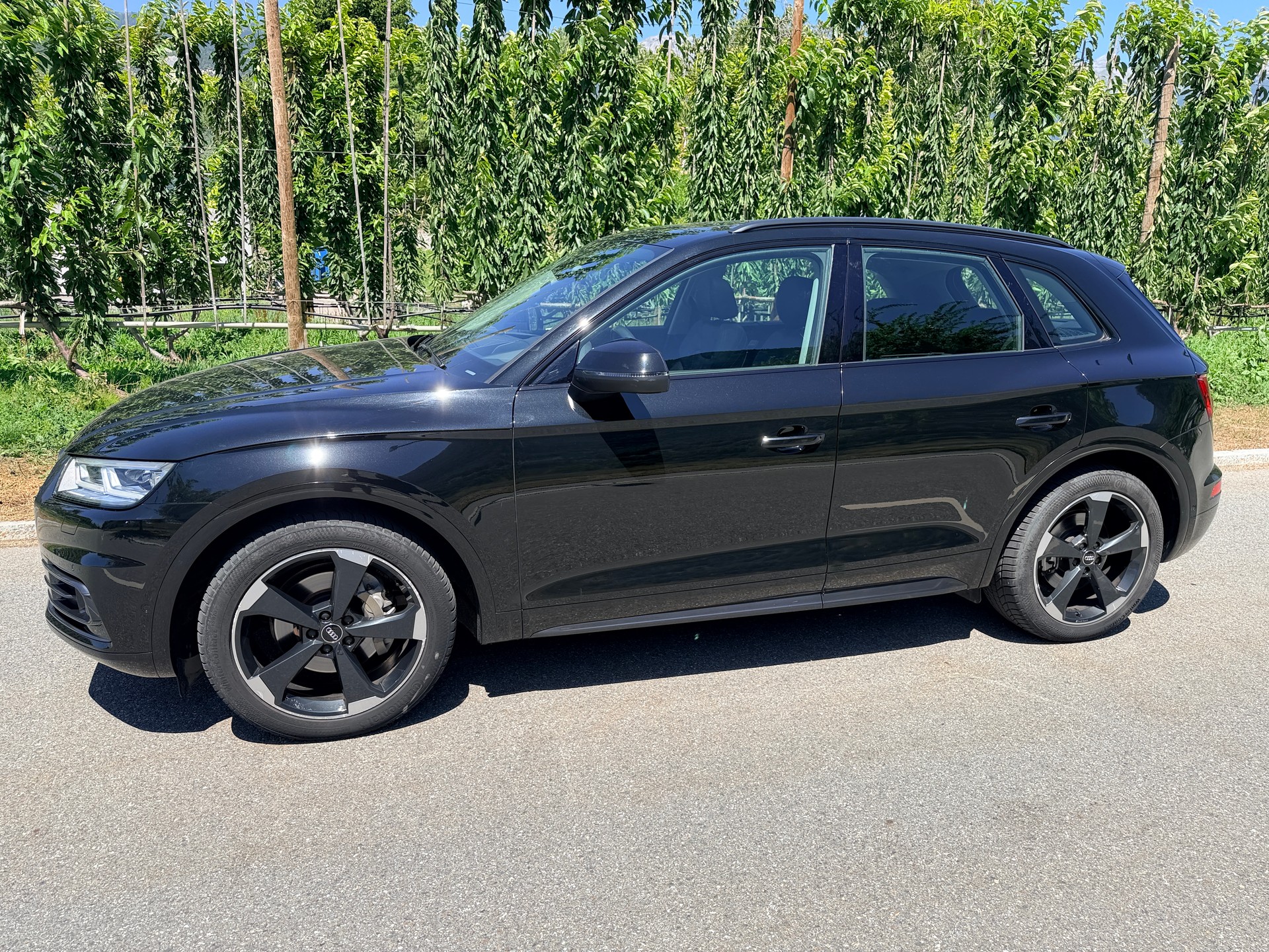 AUDI Q5 45 TFSI design quattro S-tronic-image-1