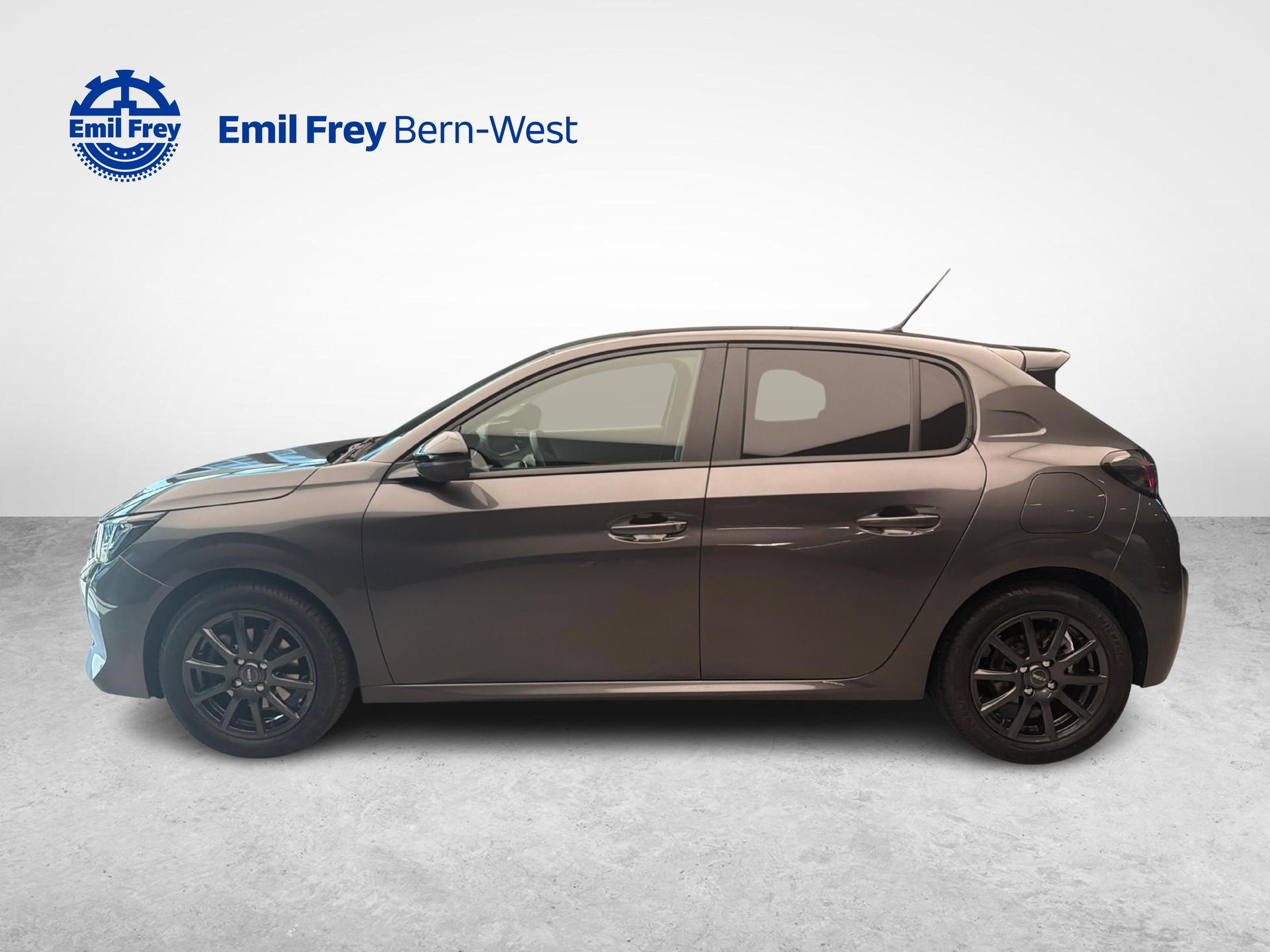 PEUGEOT 208 1.2 PureTech 100 Active Pack-image-1