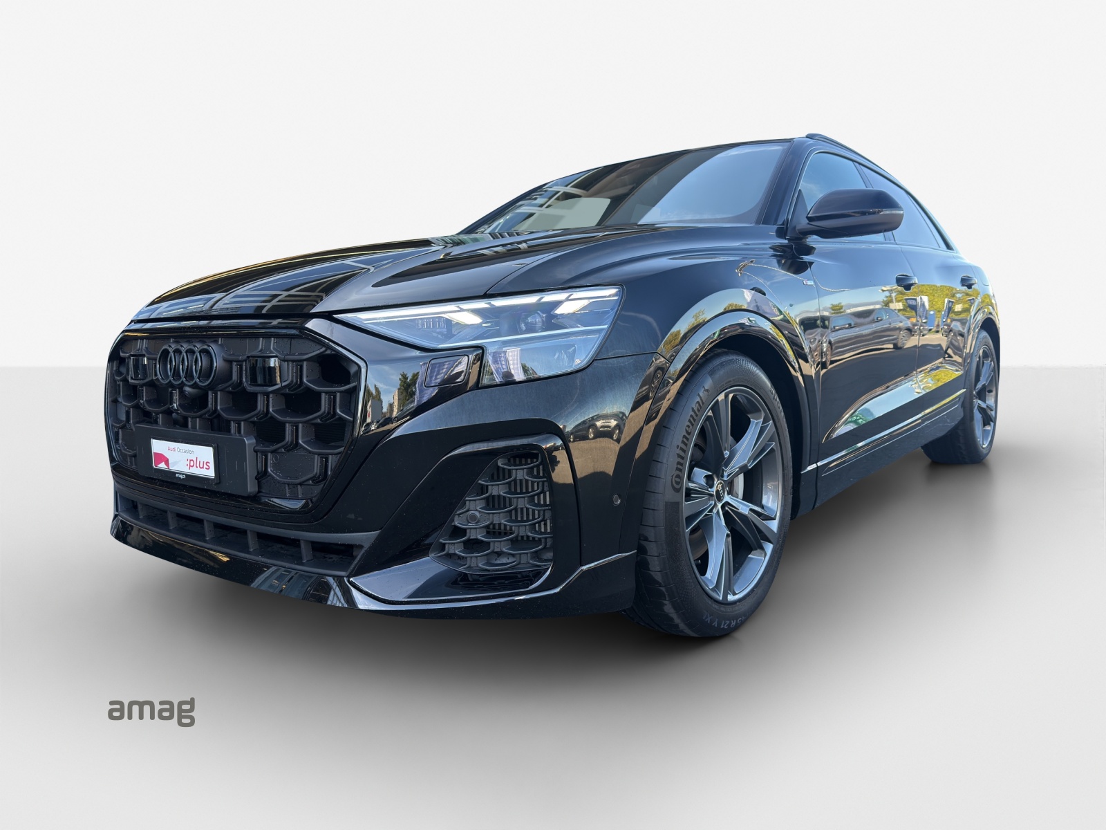 AUDI Q8 55 TFSI e quattro PHEV tiptronic-image-0