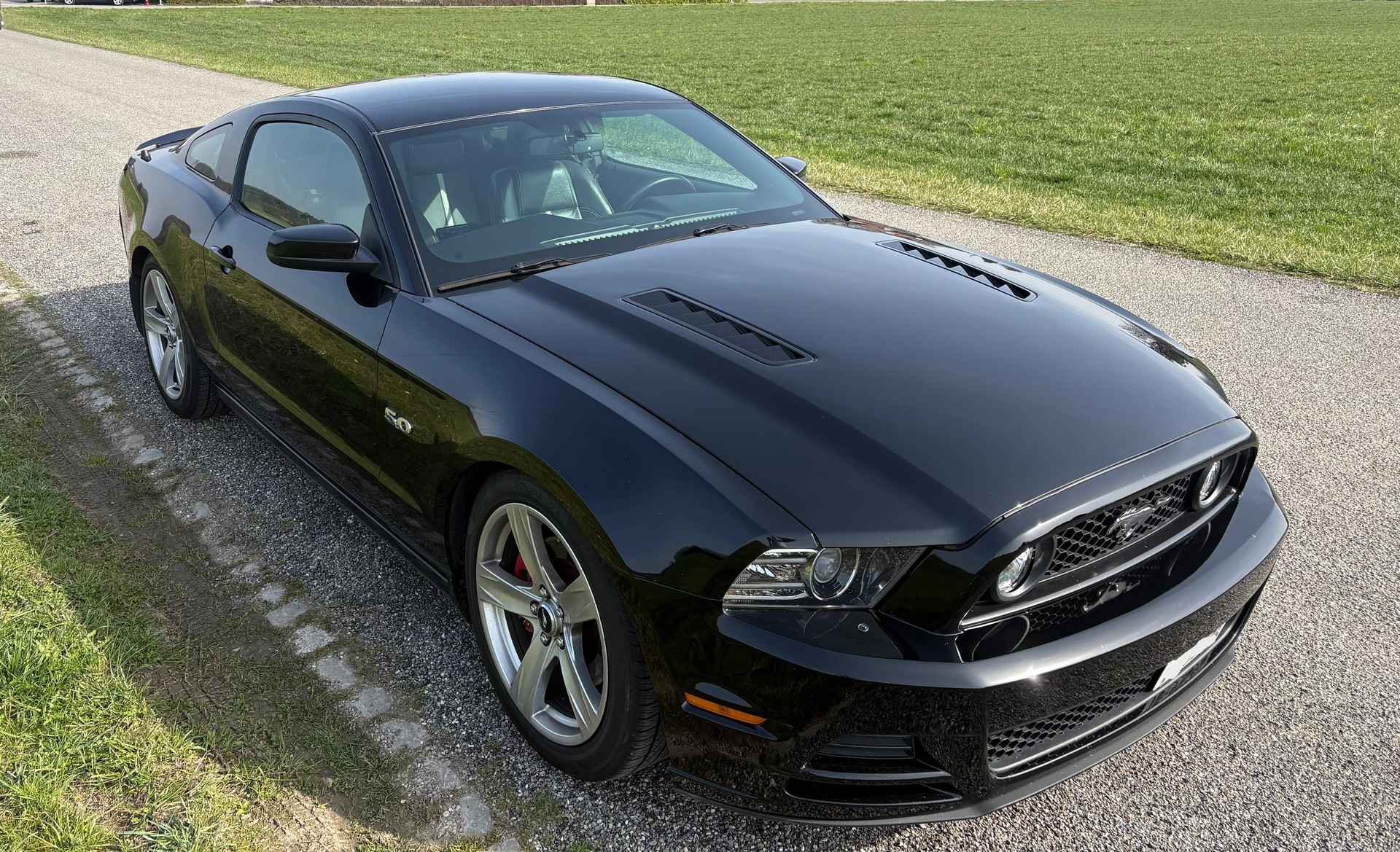 FORD MUSTANG GT 5.0 Fastback V8