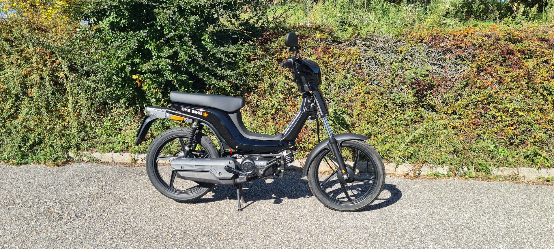 BYE BIKE-image-2