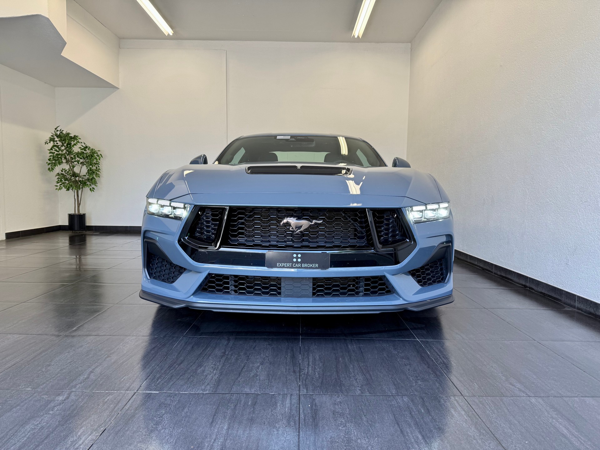 FORD Mustang Fastback 5.0 V8 GT Automat-showroom-element-2