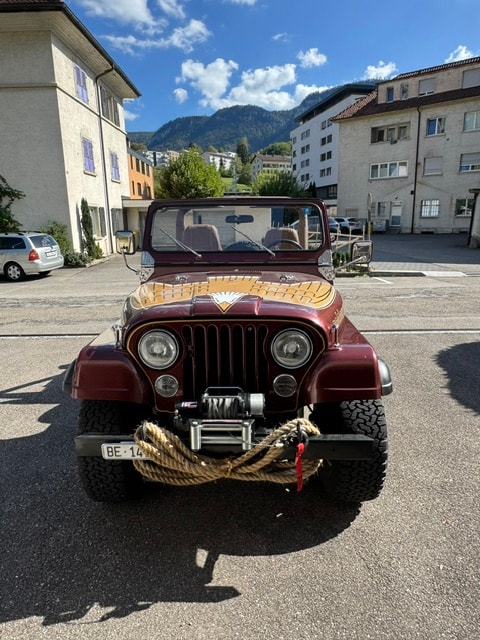 JEEP Jeep CJ 7 Golden Eagle-image-1
