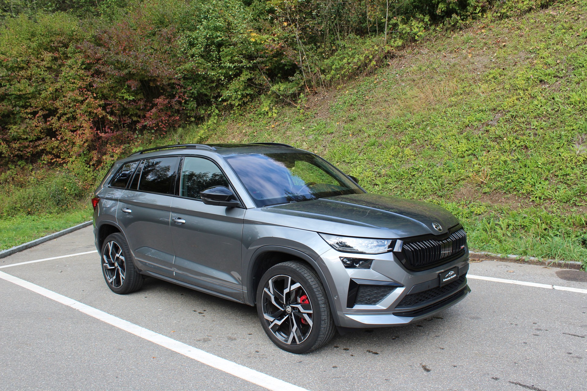 SKODA Kodiaq 2.0 TSI 4x4 RS-image-5