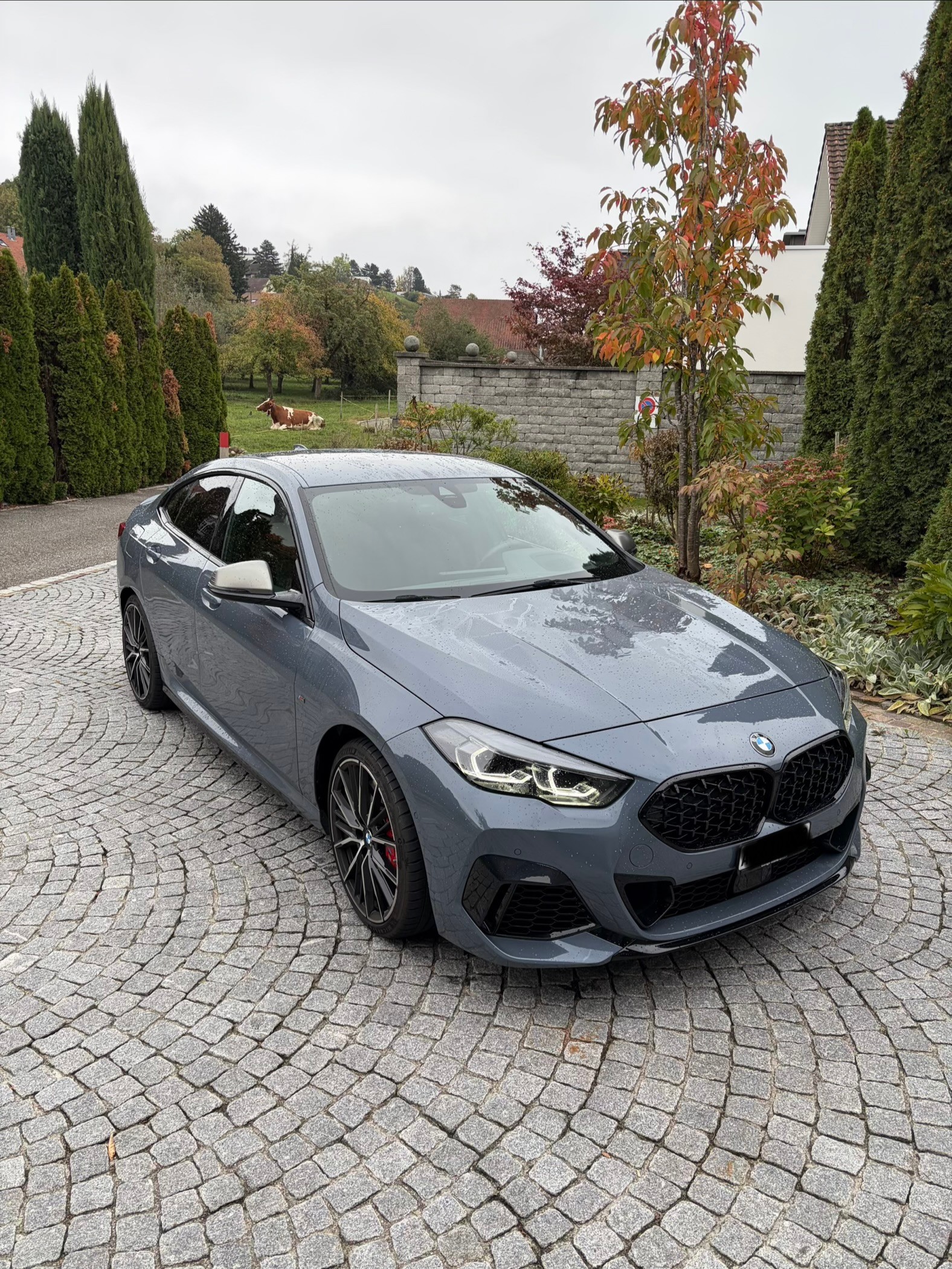 BMW M235i xDrive-image-1