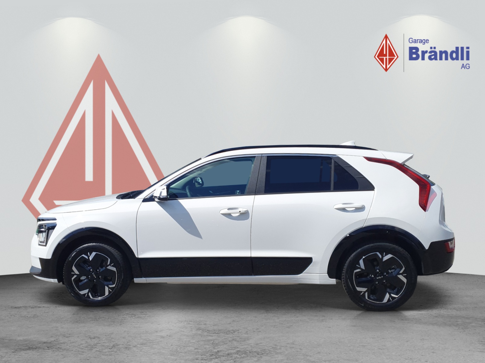 KIA Niro EV Power Edition-image-2