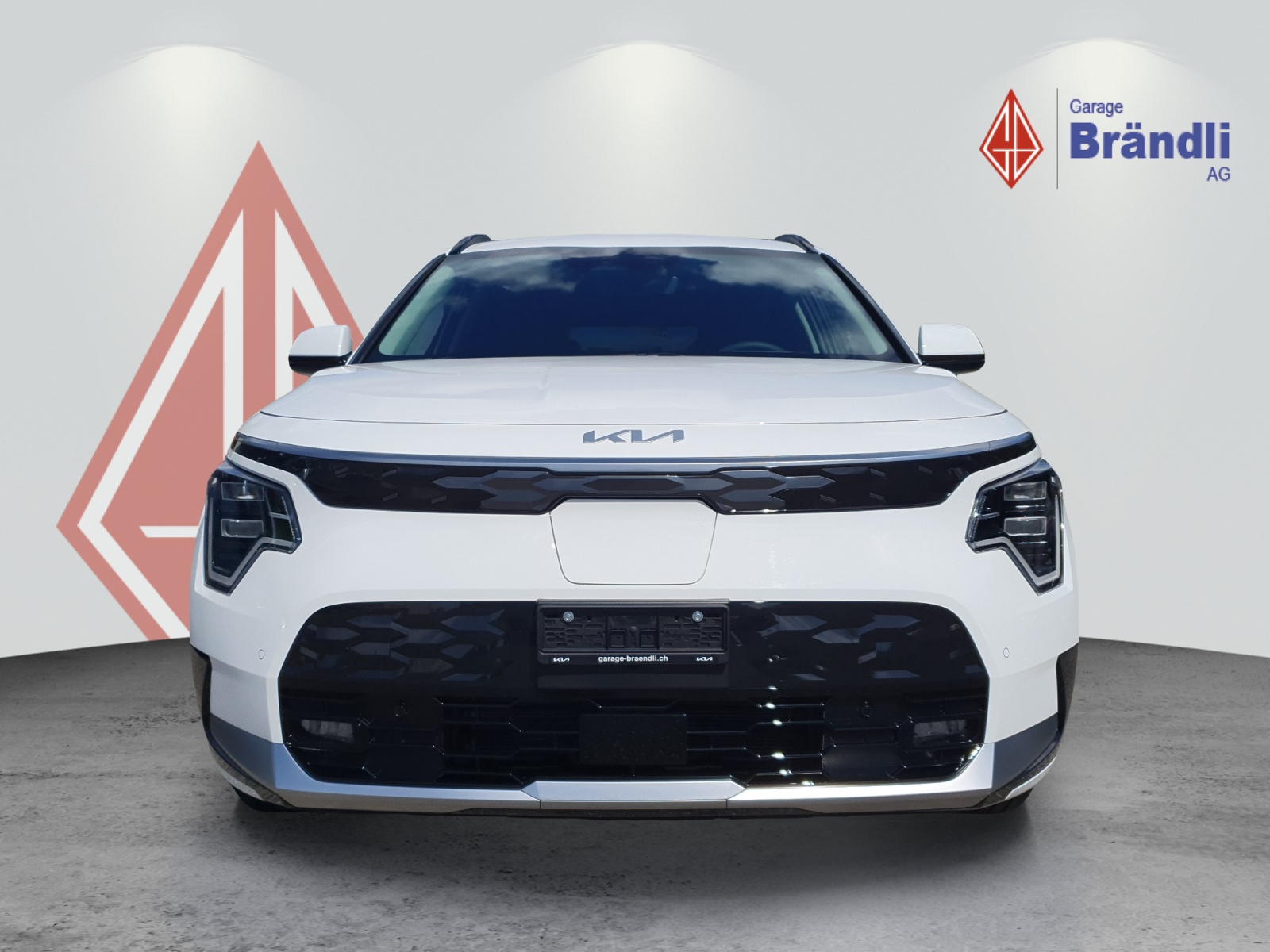 KIA Niro EV Power Edition-image-1