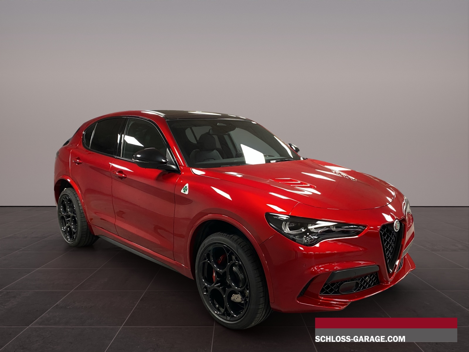 ALFA ROMEO STELVIO 2.9 V6 Biturbo Q4 Q-image-6