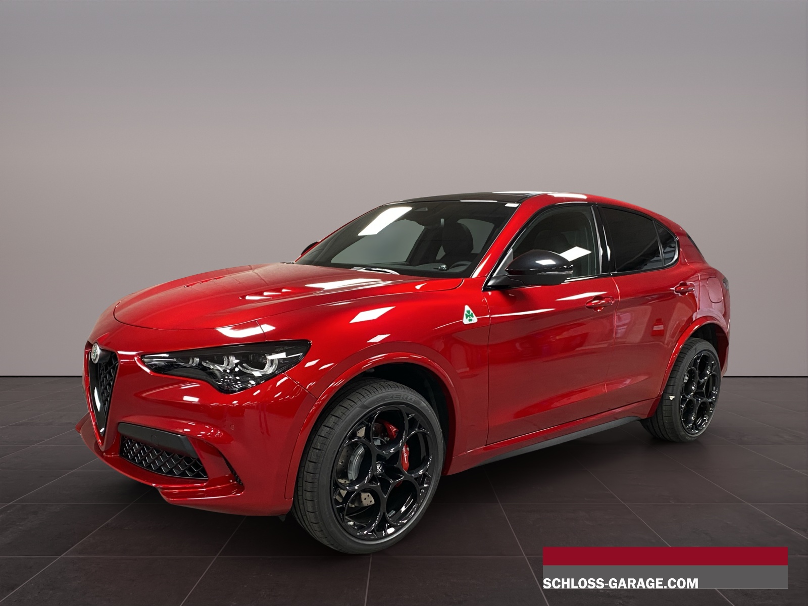ALFA ROMEO STELVIO 2.9 V6 Biturbo Q4 Q-image-0